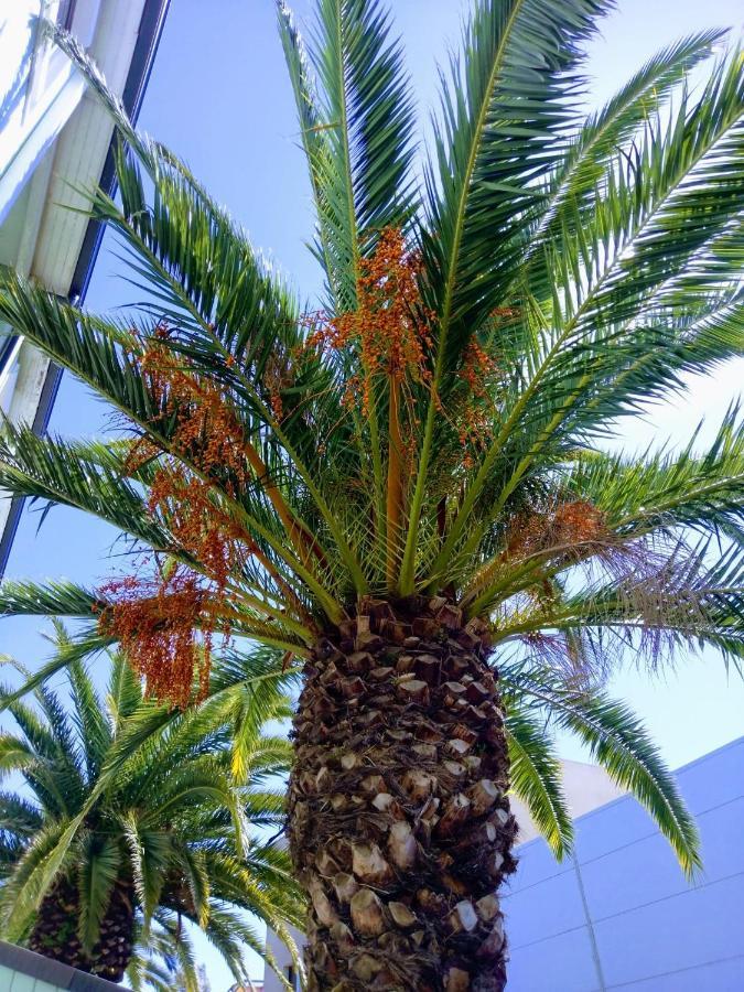 Fasthotel Perpignan Kültér fotó